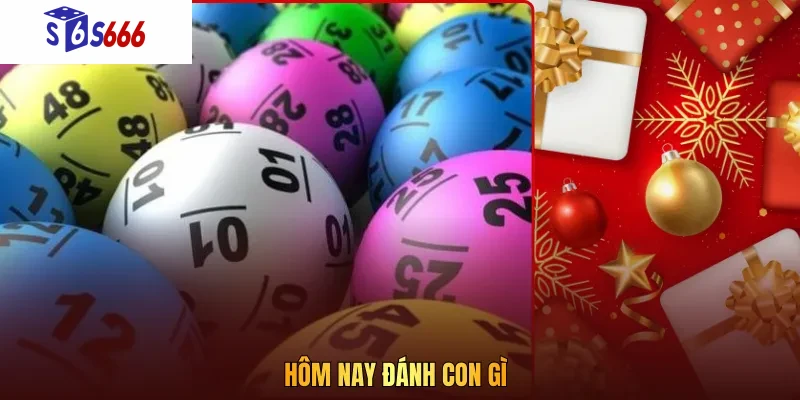Hôm nay đánh con gì